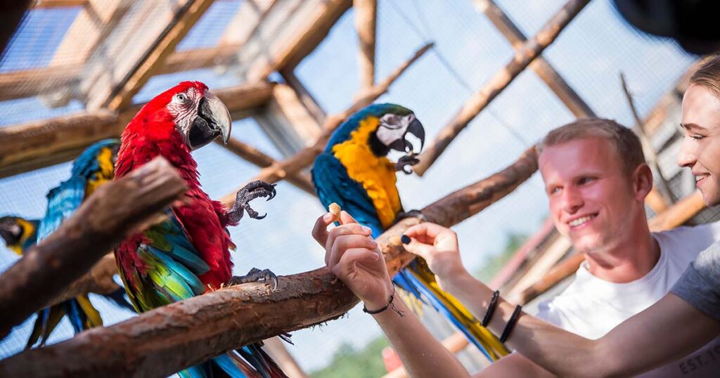 ZOO kontakt
